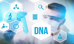 湖南省DNA鉴定正规的中心在哪里，湖南省正规DNA鉴定机构收费明细
