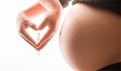 天津市怀孕了需要怎么做亲子鉴定，天津市办理孕期亲子鉴定需要什么材料和流程