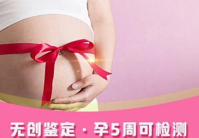 怀孕如何办理亲子鉴定,产前办理亲子鉴定具体流程