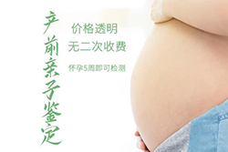 重庆市怀孕了如何办理DNA亲子鉴定，重庆市办理怀孕亲子鉴定的流程
