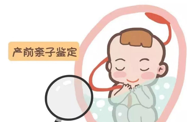 北京怀孕要如何办理DNA亲子鉴定,北京胎儿亲子鉴定基本的流程