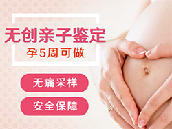 江苏省怀孕了要如何办理血缘检测，江苏省产前做亲子鉴定需要提供什么