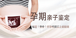 河南省怀孕了如何办理亲子鉴定，河南省办理孕期亲子鉴定需要的条件和材料有哪些