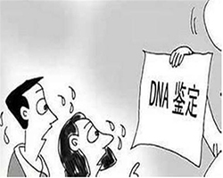 安徽省DNA亲子鉴定在哪做，安徽省亲子鉴定费用是多少钱