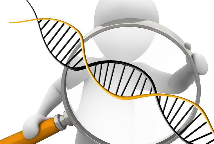 黑龙江省怀孕需要怎么办理DNA鉴定,黑龙江省产前办理亲子鉴定具体流程